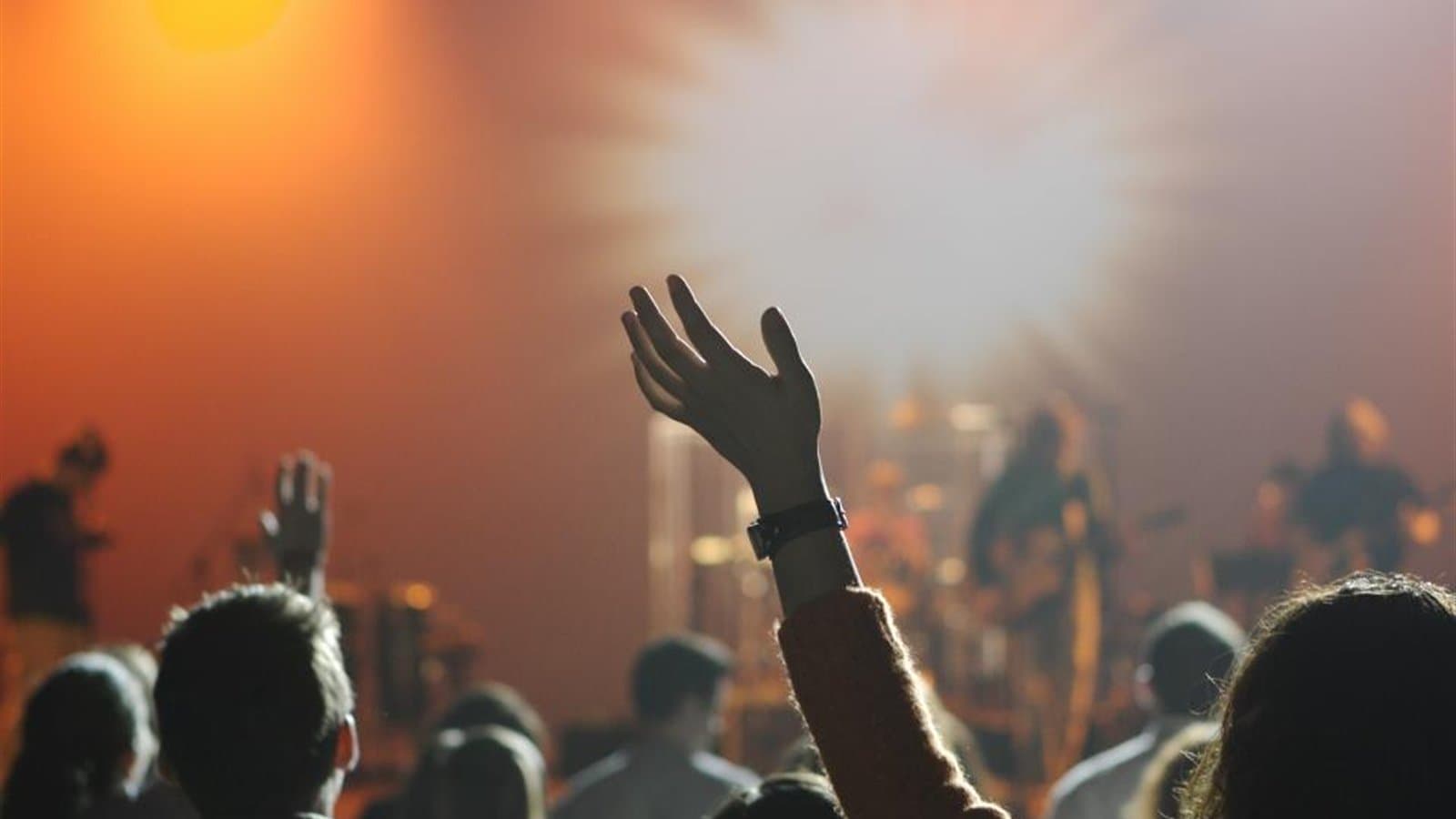 ライブ会場で手を上げる観客
